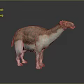 Prehistoric Camel 3D Model with Brown and White Fur Standing on Gray Background