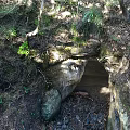 Natural Cave Entrance Scenery Surrounded by Trees and Vegetation with Sunlight Through Leaves