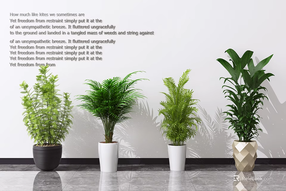 Different Types of Decorative Potted Plants with Various Pots Against White Wall and Gray Floor 3d model 