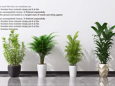 Different Types of Decorative Potted Plants with Various Pots Against White Wall and Gray Floor 3d model