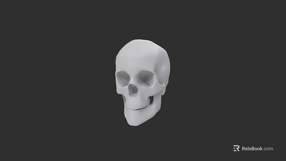 White Human Skull Anatomical Model With Black Background And Detailed Structure 3d model 