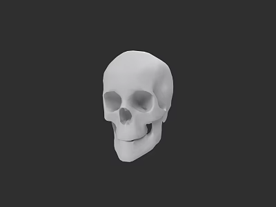 White Human Skull Anatomical Model With Black Background And Detailed Structure 3d model