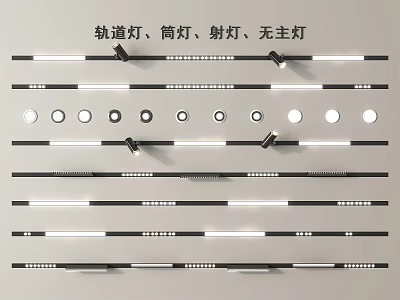 Contemporary Home Lighting With Downlights Spotlights Track Fixtures And Non Main Light Layout 3d model
