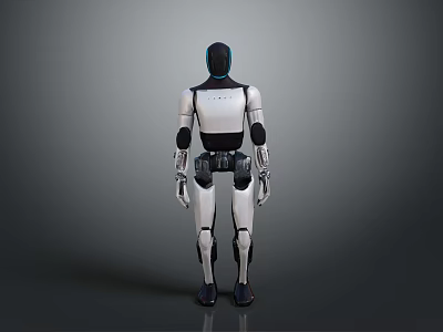 Humanoid Robotic Equipment With Mechanical Structure And White Black Exterior Design 3d model