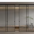 Modern Interior Sliding Doors with Black Frame Vertical Stripped Glass Wooden Floor and Plant
