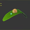 Vibrant Red Ladybug Perched On Curved Green Leaf With Shiny Dewdrop 3d model