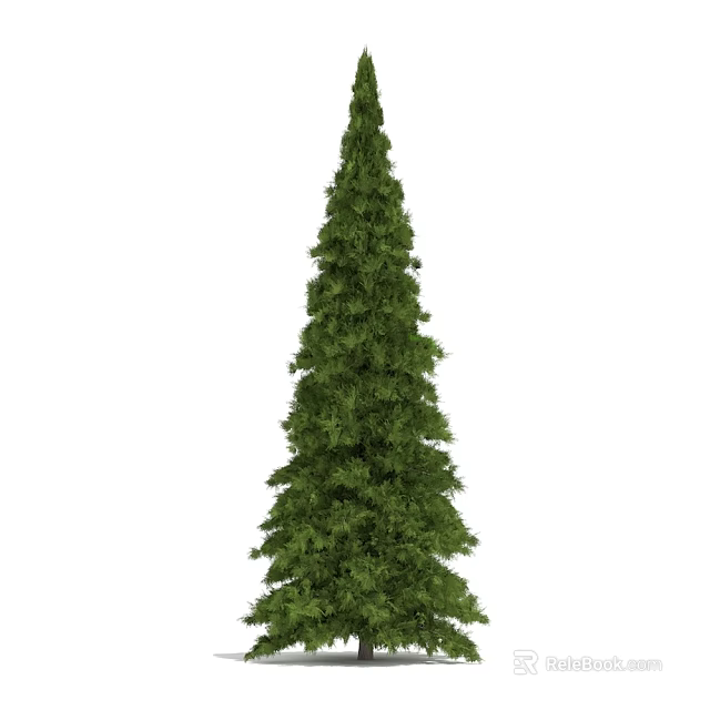 Tall Green Arbor With Pyramidal Shape Lush Evergreen Foliage And Dense Branches 3d model 