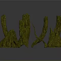 Green Moss Covered Plant Branches With Irregular Shapes And Natural Texture