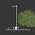 Urban Rest Area Scene With Two Green Trees Street Lamps Wooden Benches And Paved Ground