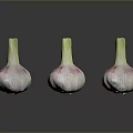 Three Fresh Garlic Bulbs With White Pink Skin And Green Stems On Black Surface