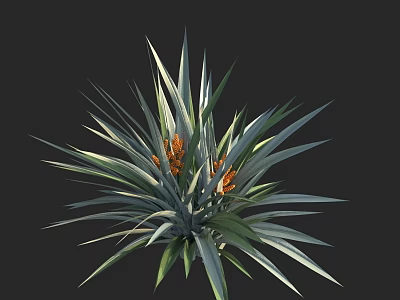Vibrant Tropical Plant with Long Sword Shaped Leaves and Orange Flower Clusters 3d model