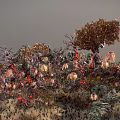 Exotic Garden Landscape With Twisted Tree Trunks Vibrant Red Blooms And Colored Foliage