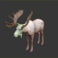 White Moose With Large Red Antlers Standing On Dark Background