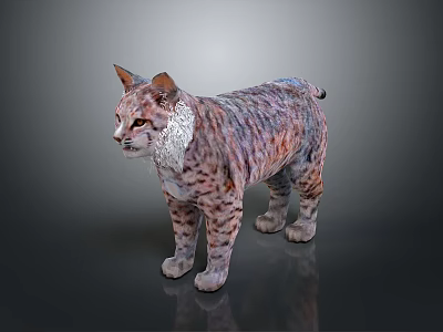 Realistic Lynx Wild Cat 3D Model With Detailed Fur Texture And Spotted Coat 3d model