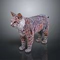 Realistic Lynx Wild Cat 3D Model With Detailed Fur Texture And Spotted Coat