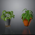 Indoor Green Plants With Different Leaf Patterns In Gray Pot Gold Stand And Red Pot