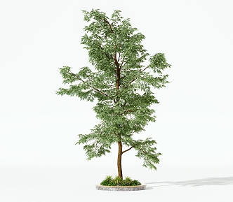 Modern Trees 3d model