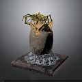 Hatching Baby Animal From Cracked Egg With Yellow Orange Interior And Net Like Base Structure