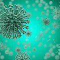 Modern virus 3d model