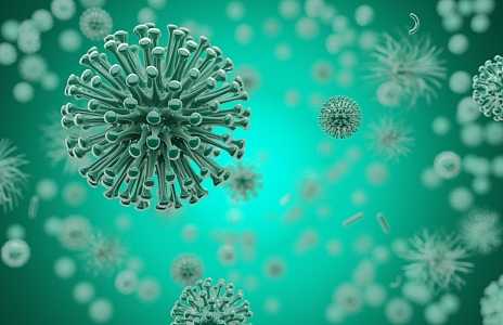 Modern virus 3d model