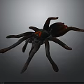 Realistic 3D Rendered Spider With Red Glowing Eyes And Long Legs