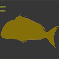 Red Fish With Shiny Scales And Fins On Dark Reflective Background