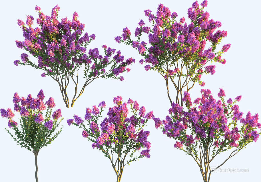 Multiple Arbor Trees Blooming With Vibrant Purple Flowers In Garden 3d model 