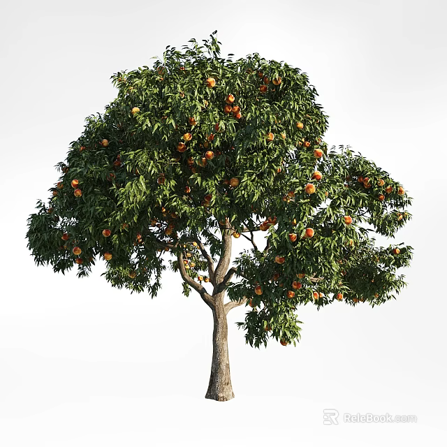 Lush Fruit Tree With Green Leaves And Ripe Orange Fruits 3d model 