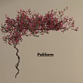 Lush Twisted Vine With Pink Flowers Decorative Plant On Light Background