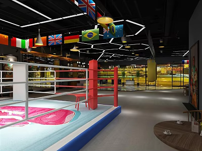 Modern Boxing Gym Interior With National Flags And Ring For Fitness Training 3d model