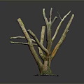 Artistic Tree Stump Model With Brown Branches Green Base And Tiny Green Shoot
