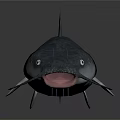 Realistic Gray Catfish With Whiskers Fins And White Eyes On Dark Background