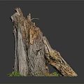 Small Green Plants Growing At Tree Stump Base With Rough Texture And Brown Orange Colors