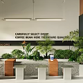 Cozy Milk Tea Shop Featuring Green Plants And Carefully Selected Quality Ingredients