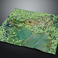 Frog Resting on Green Lily Pad Amidst Duckweed Covered Water Surface