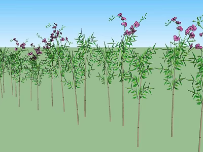 Slender Bamboo Plants With Green Leaves And Purple Flowers On Top 3d model