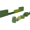 Different Types of Shrubs With Various Shapes Sizes and Green Foliage