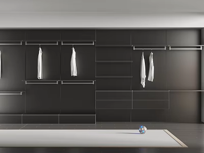 Modern Black Wardrobe Interior With Hanging Rods Shelves And White Clothes Storage 3d model