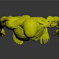 Detailed Human Organ Anatomy 3D Model Showing Muscular And Skeletal Structure