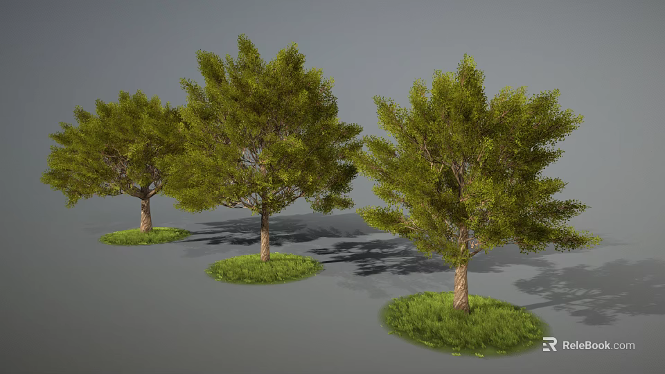 Three Green Trees with Lush Leaves and Brown Trunks on Grass Patches Against Gray Background 3d model 