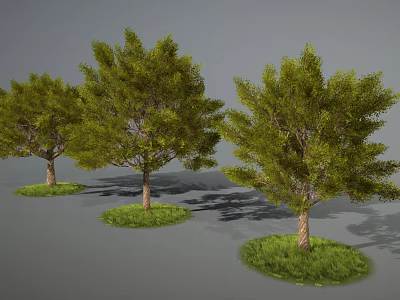 Three Green Trees with Lush Leaves and Brown Trunks on Grass Patches Against Gray Background 3d model
