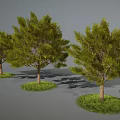 Three Green Trees with Lush Leaves and Brown Trunks on Grass Patches Against Gray Background