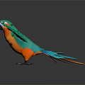 Colorful Parrot With Green Body Orange Belly Blue Tail And Spread Wings