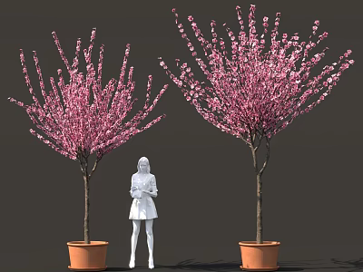 Bonsai Potted Plants With Pink Flowering Branches In Orange Pots And A Standing Figure 3d model
