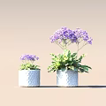 Two Potted Plants With Purple Flowers In White Diamond Patterned Pots Against Neutral Background