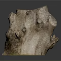 Natural Tree Stump with Rough Textured Wood Surface for Garden Decoration