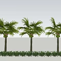 Palm Plant Tropical Plant Coconut Tree Palm Tree Scatter Sunflower 3d model