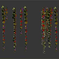 Hanging Plants With Green Leaves And Purple Red Small Flowers On Slender Stems White Background