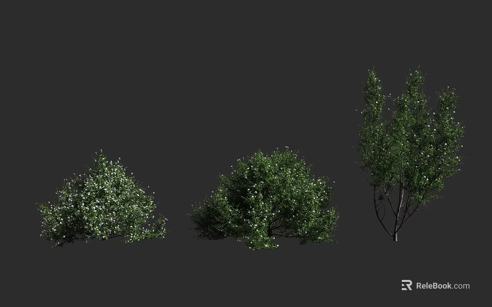 Three Varieties of Green Shrubs with Dense Foliage and Distinct Shapes 3d model 