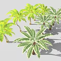 Green and Yellow Leafy Palm and Banana Trees with Light Colored Trunks in Gray Background